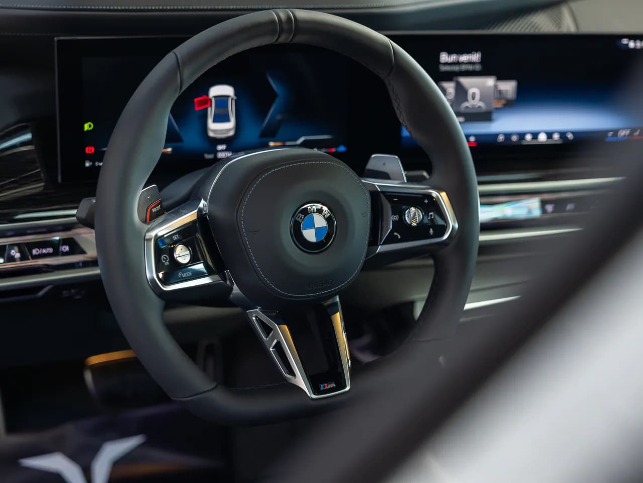 BMW 740d xDrive M-Sport — imaginea 13