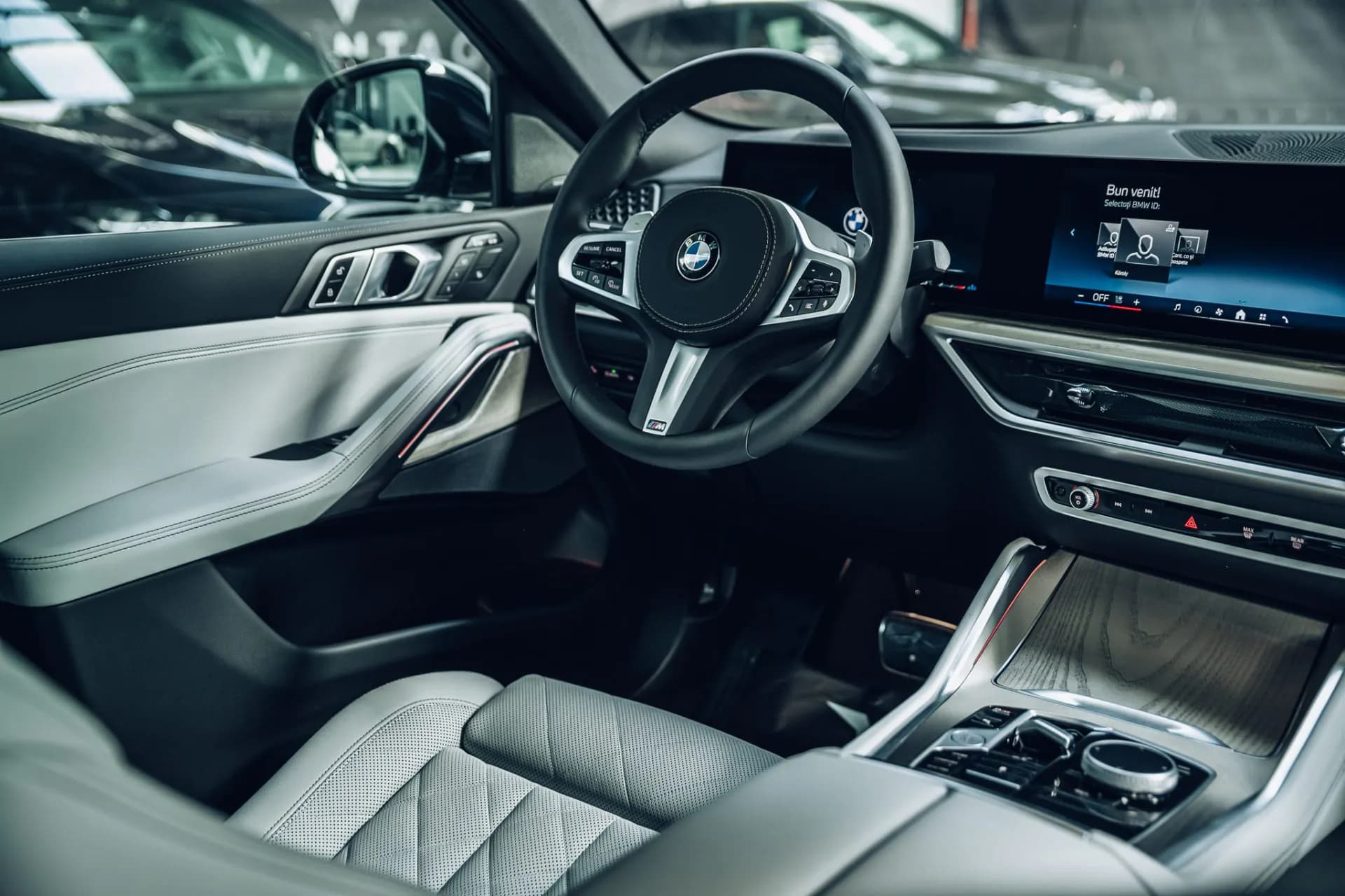 BMW X6 30d xDrive M-Sport Pro — imaginea 17